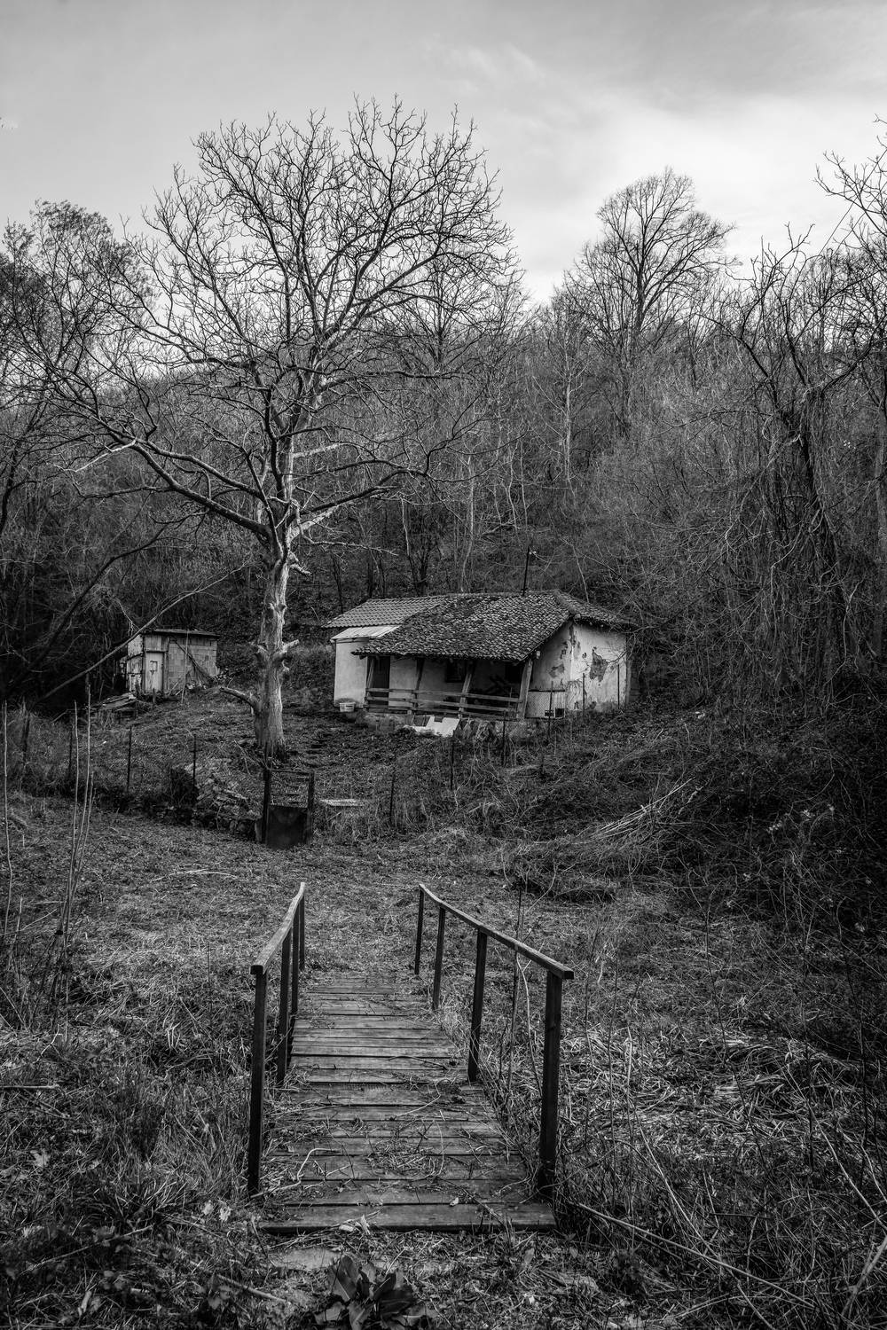 , Александр Шилов