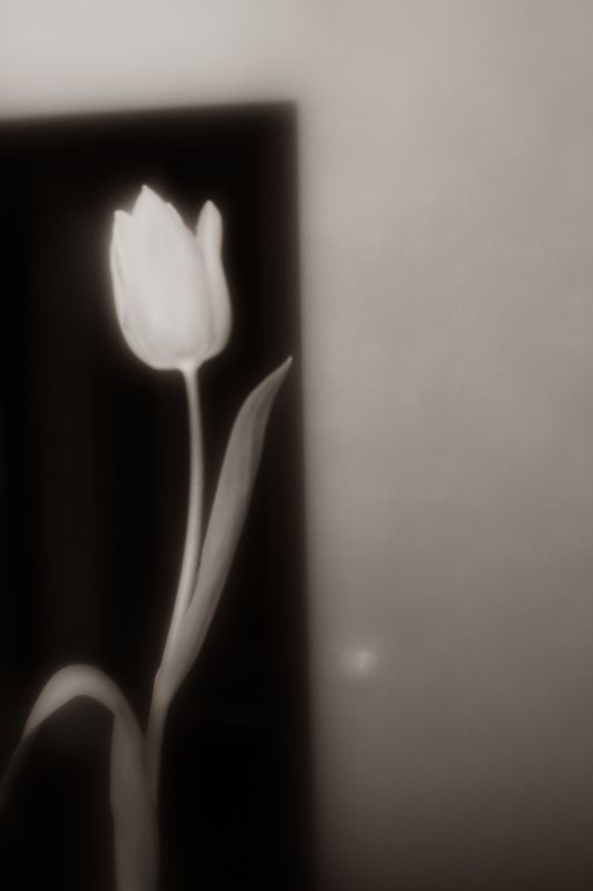 8 марта фото превью