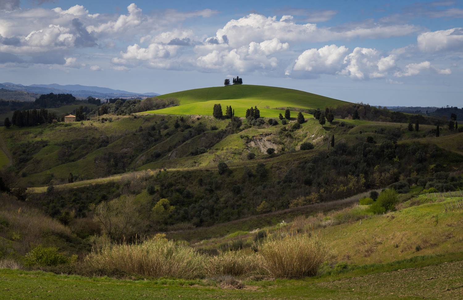 , Алекс Римский