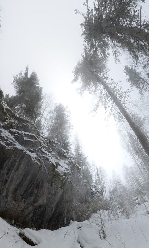 туман, лес, зима, скалы, карелия, winter, fog, mist, forest  фото превью