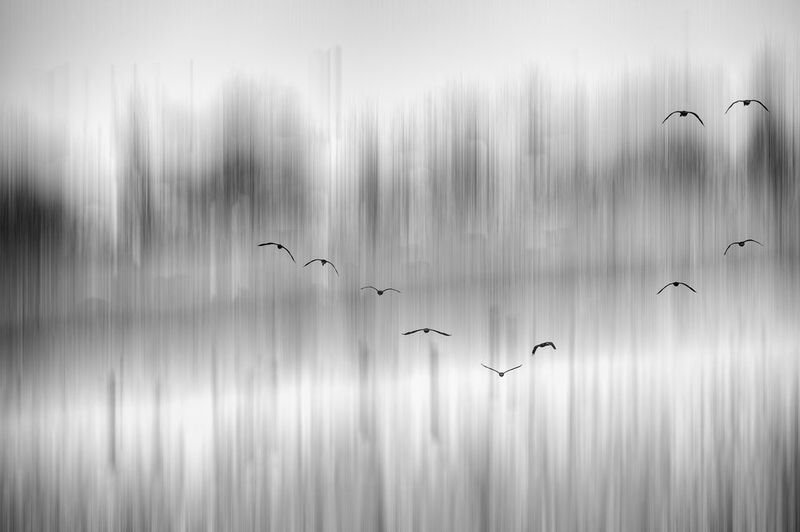 {{{ фото превью