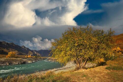 Осенняя Катунь