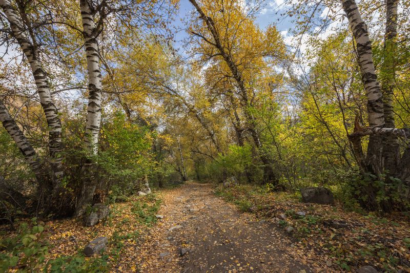 Осень в Пальтау. фото превью