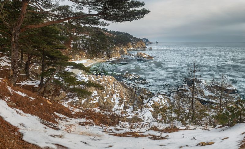 мыс теляковского, полуостров гамова, приморье, японское море, зима Мыс Теляковского (полуостров Гамова) Приморье фото превью