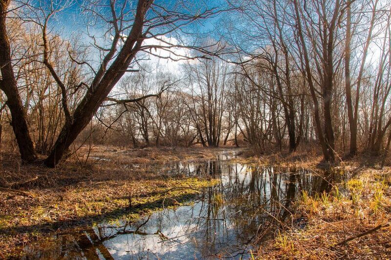 В окрестностях злого города фото превью