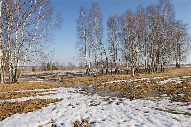 Апрельский денёк фото превью