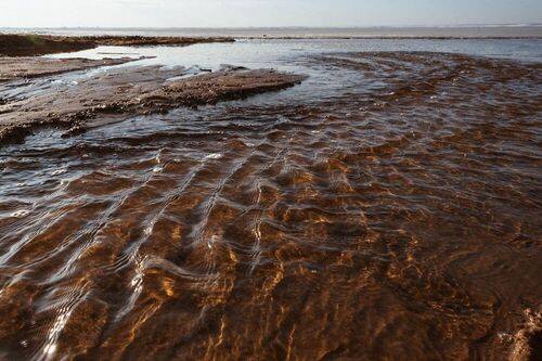 Финский залив. Ручьи