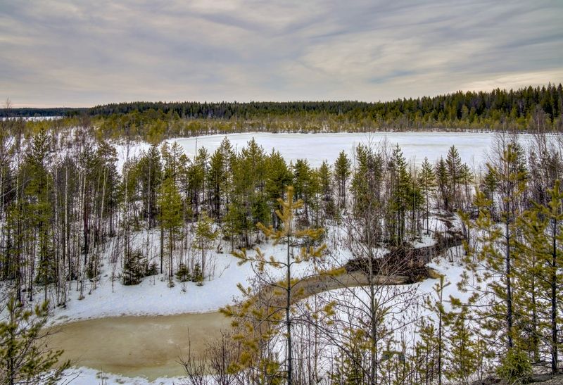 Весна начинается! фото превью