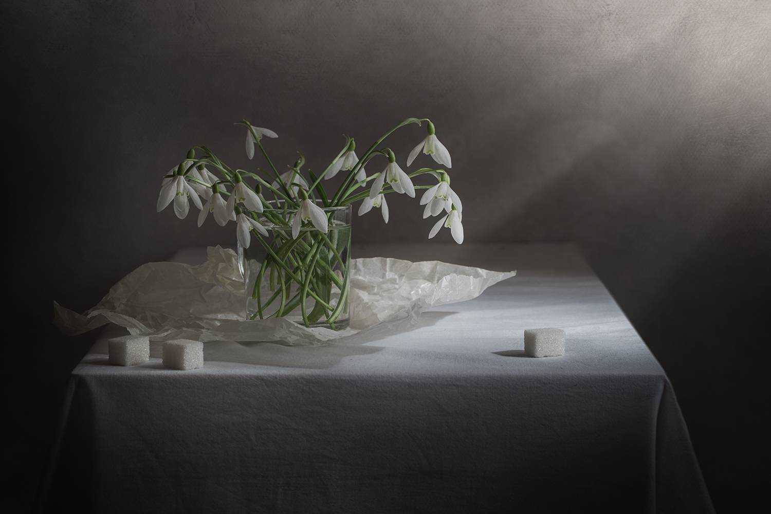 , Елена Рубинская