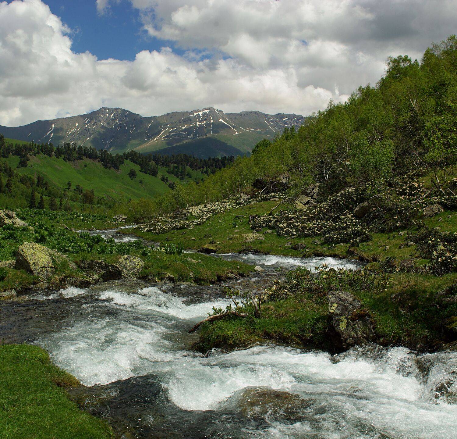 архыз, Андрей Любимов