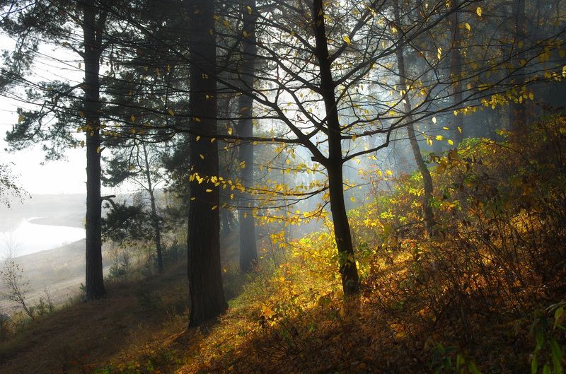 Осеннее утро фото превью