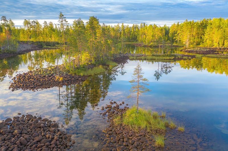 озовая гряда, тайга, ладожские шхеры, карелия, ладога, северное приладожье, сортавала, питкяранта, русский север, северная природа, северный пейзаж, пейзажи карелии, природа карелии, фототуры по карелии, фототуры по ладоге, фототур на ладожские шхеры Озовое утро фото превью