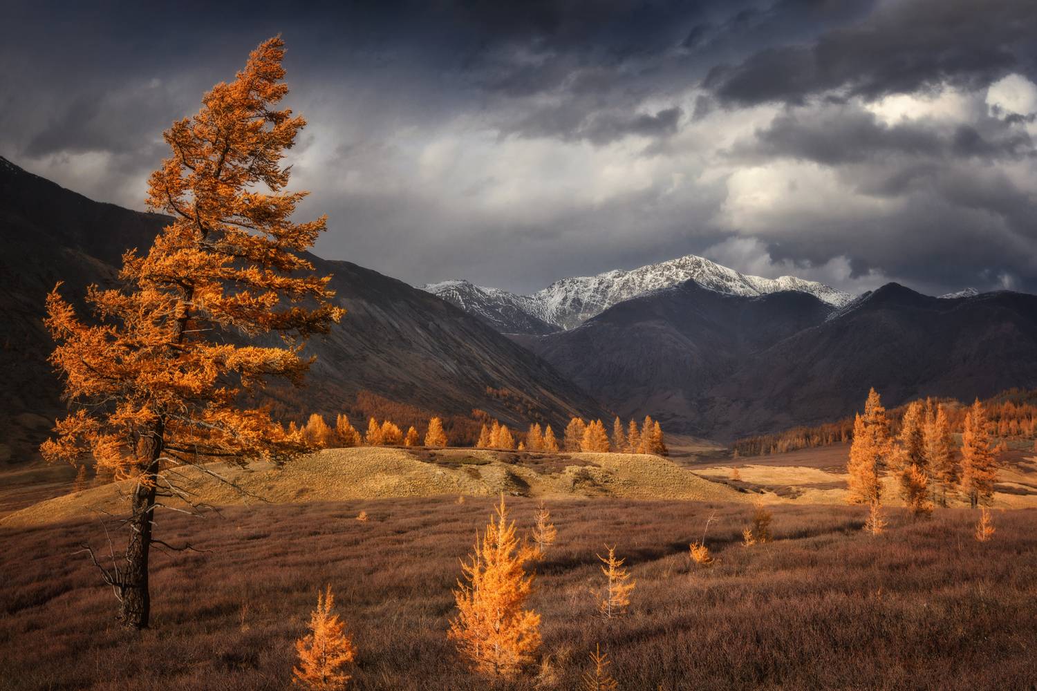 алтай, озеро, горы, лес, природа, закат, рассвет, красота, приключения, путешествие, Шевченко Николай
