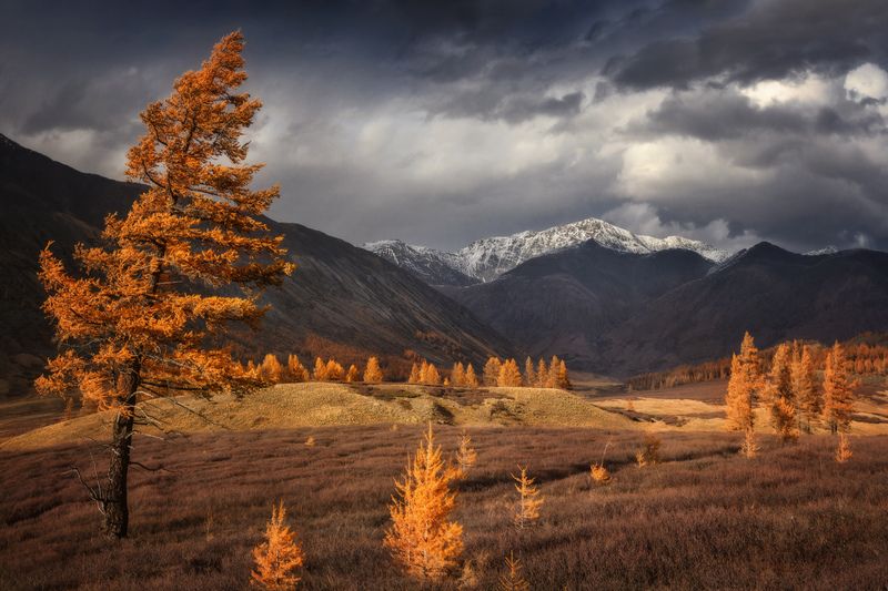 алтай, озеро, горы, лес, природа, закат, рассвет, красота, приключения, путешествие Осенняя пора фото превью