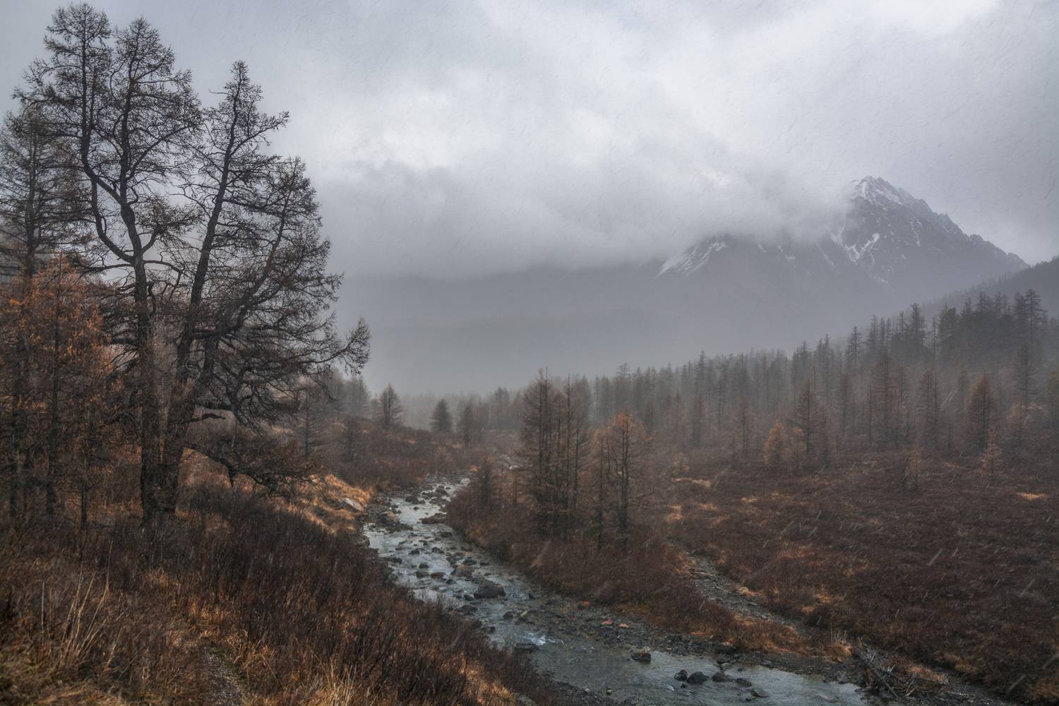 россия, горный алтай,осень, непогода, снег в сентябре, Поляков Андрей