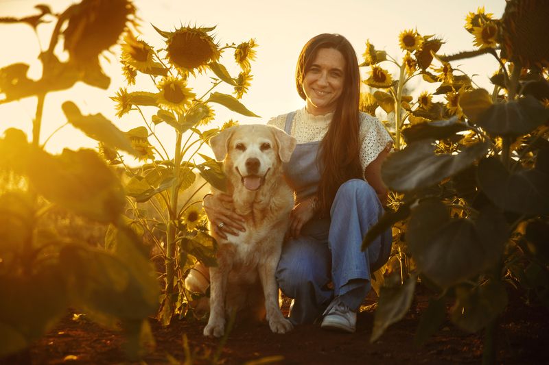 dogs,pets,golden,hour,flowers,backlight,camp,labrador,retriever,puppy,natural light,photography,portrait,warm,colors,smile,outdoor,fun,woman,friendship Maggie&Patricia фото превью
