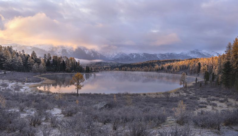 киделю, пейзаж, алтай, изморозь, осень, улаганский перевал, улаган Киделю в осеннем серебре фото превью