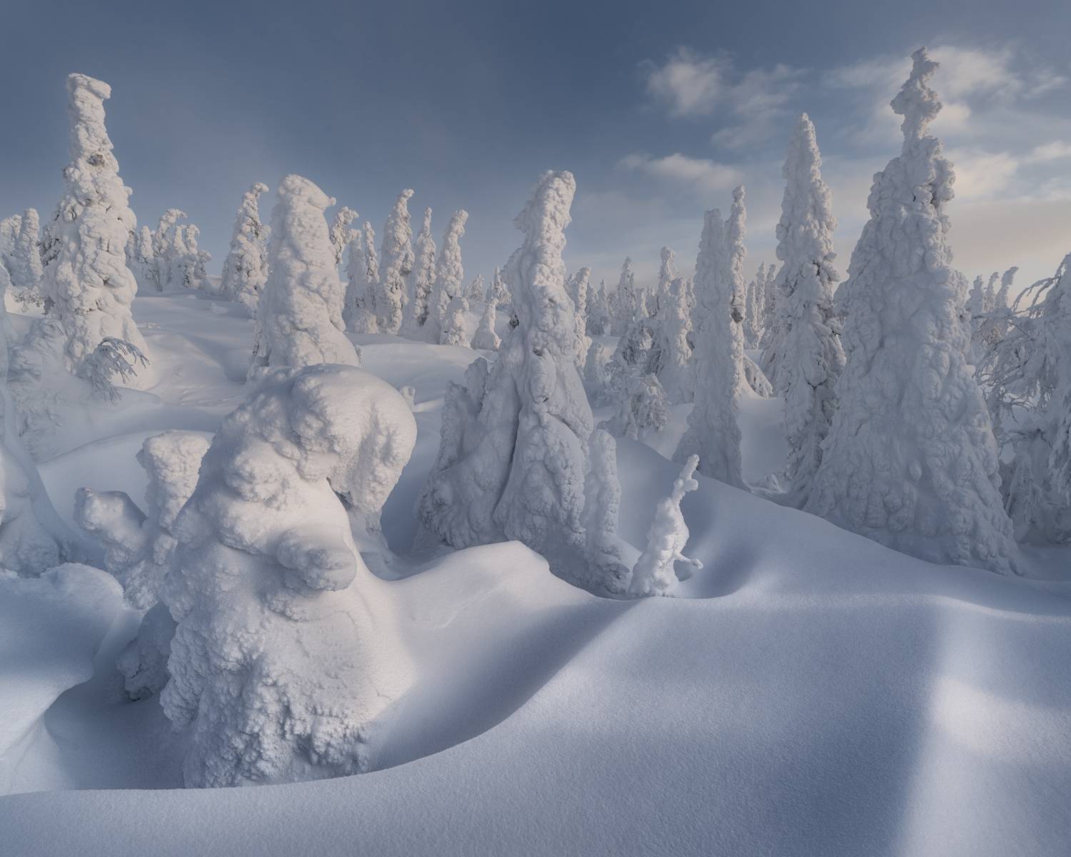 , Медянцев Дмитрий