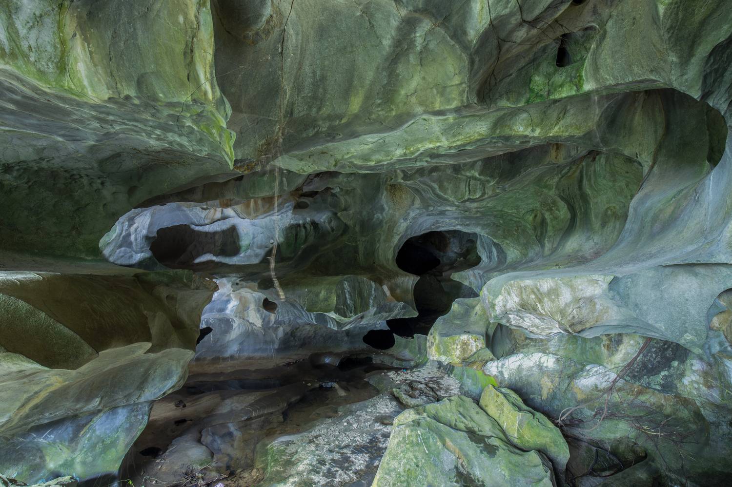 , vannguyenhop29@gmail.com