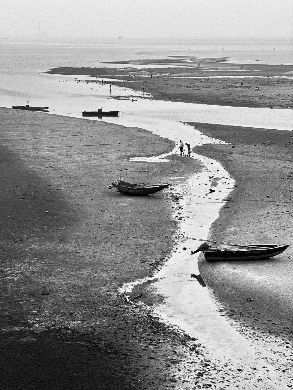 , Щеглова Марина