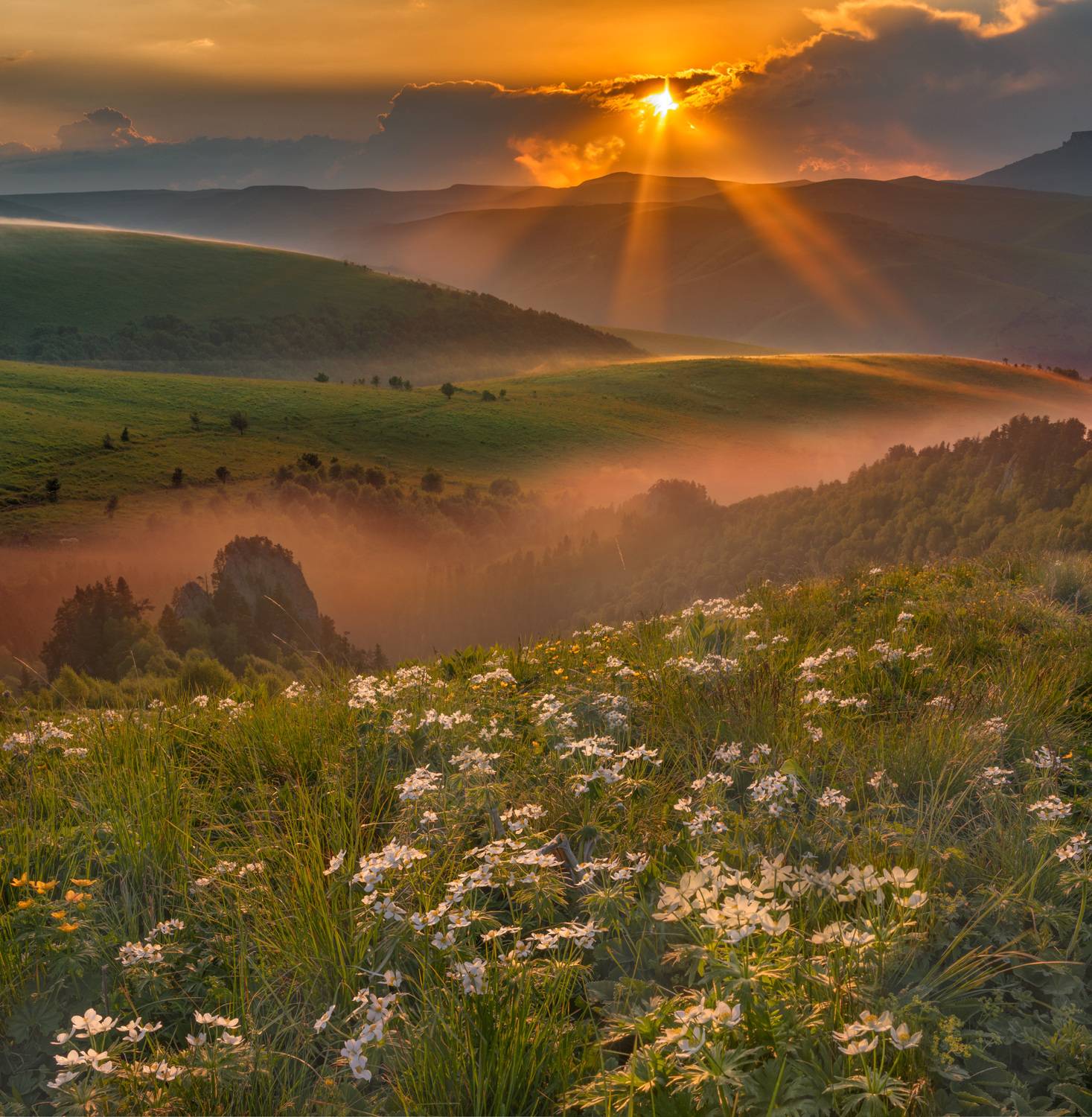 Фототуры с Вдамиром Рябковым, #topnature #russpasibo #magic_shots #lovelyRussia #sunset_vision #exclusive_sky  #exclusive_shots #loves_russia2 #photoarena_nature #nature_sultans #nature_perfection #rsa_sky #rsa_sunset #photorussia #rsa_naturepics #sunsets, Владимир Рябков