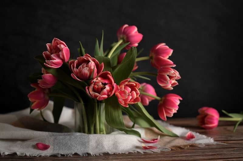 Натюрморт фото превью