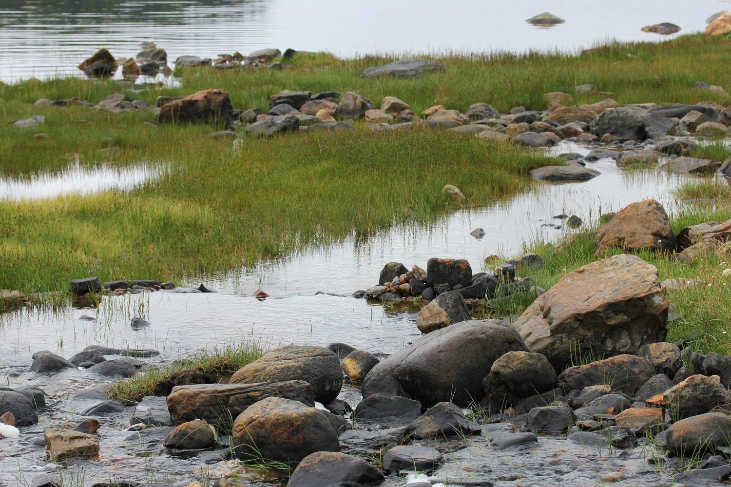 , Бравичева Анастасия