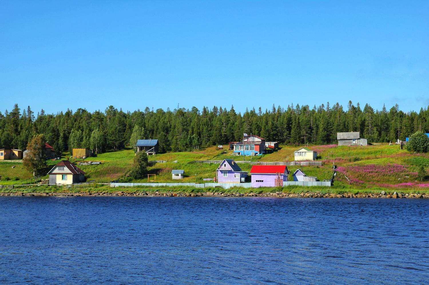 , Бравичева Анастасия