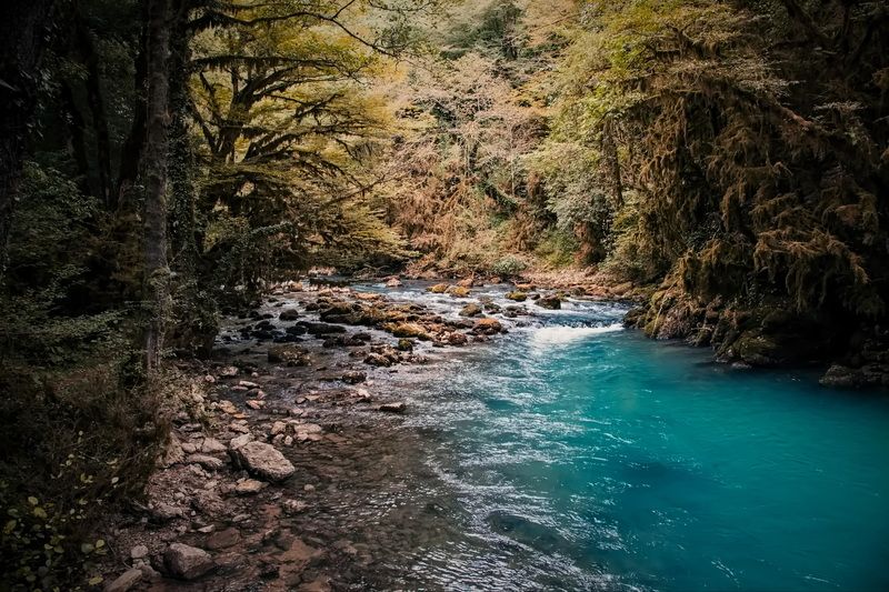 Абхазия *** фото превью