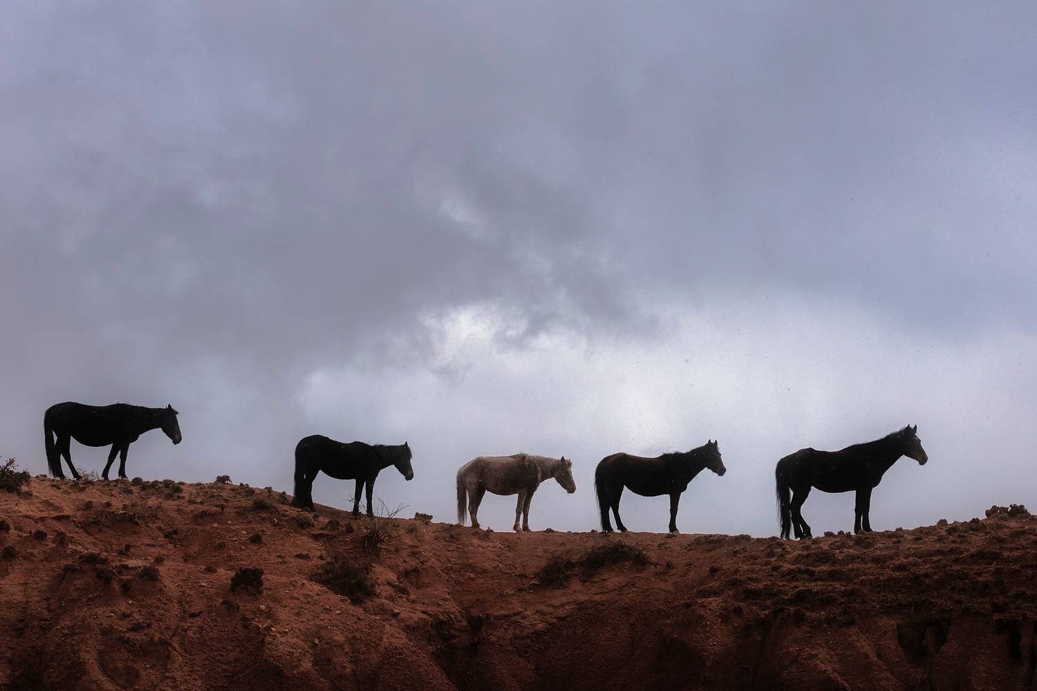 кыргызстан, иссык-куль, Элина Магалимова