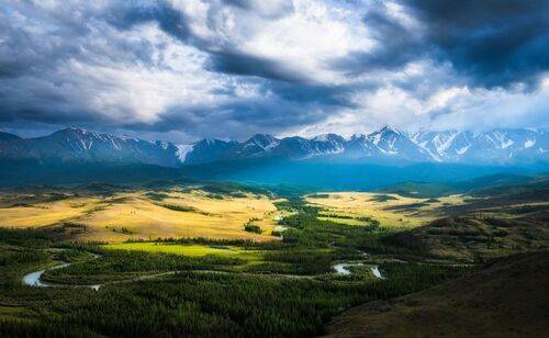 Курайская степь