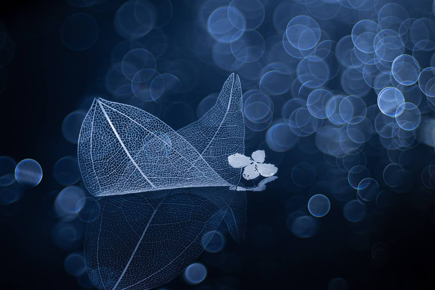 close-up, Копцев Игорь