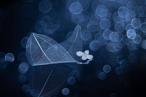 In the mystery of dreams