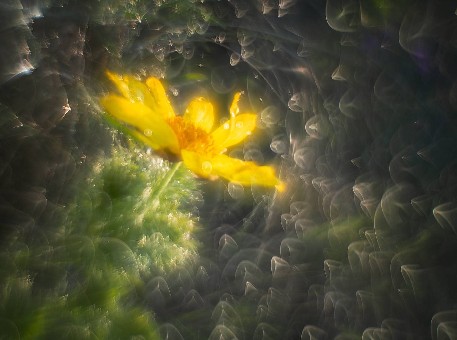 , Виктор Лебедь