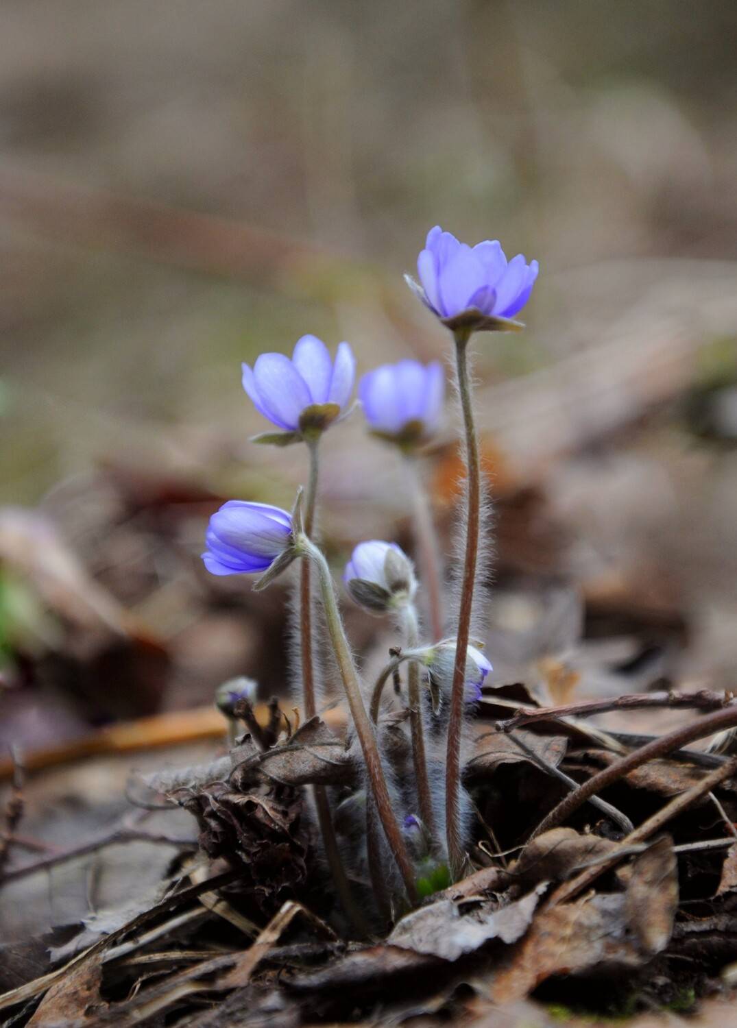 , Васильева Дарья