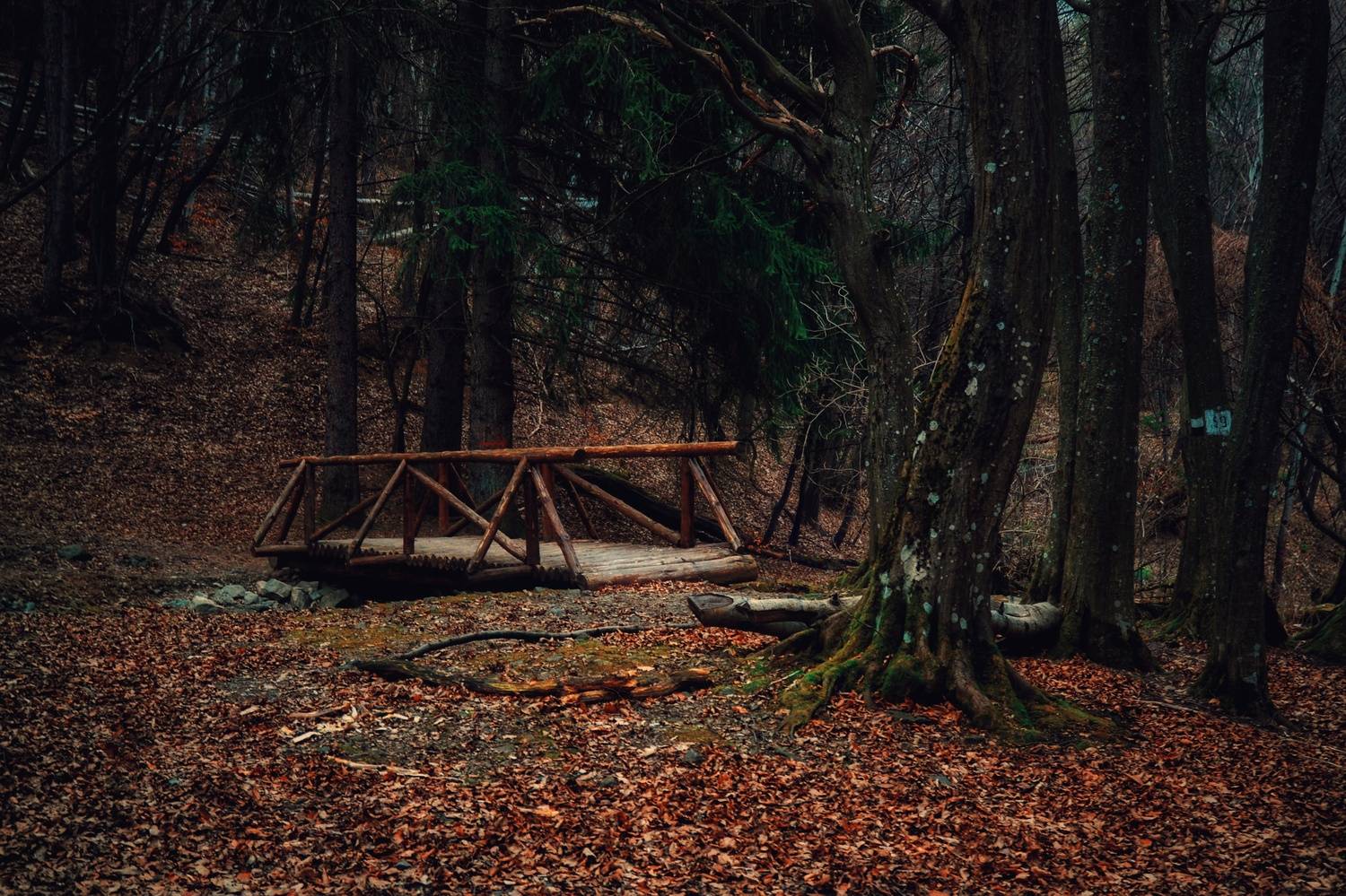 , Юлияна Стоянова