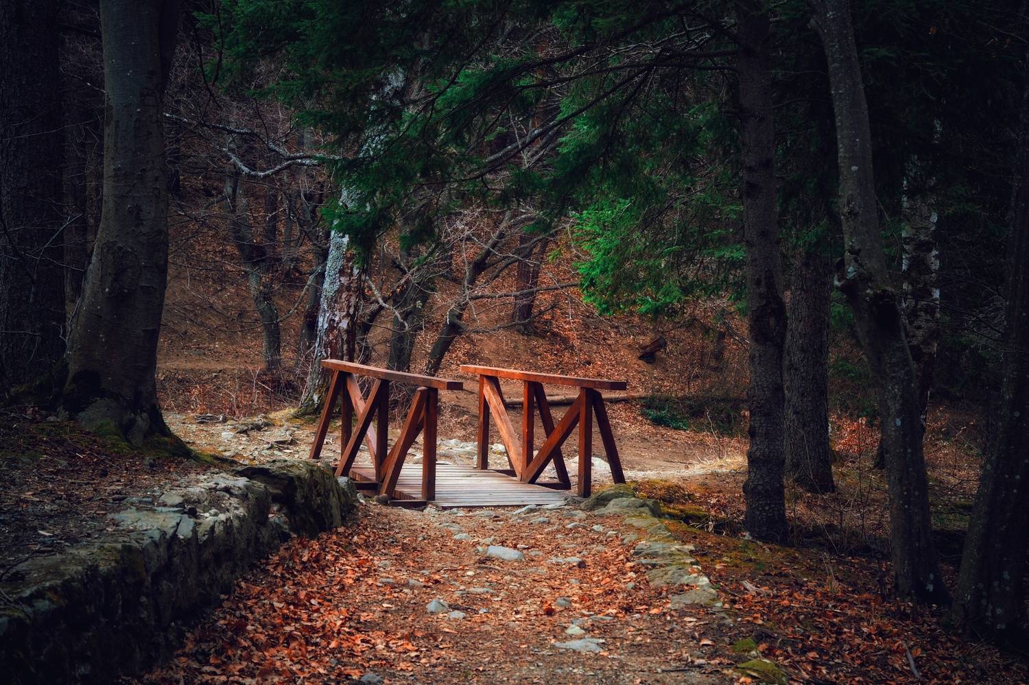 , Юлияна Стоянова