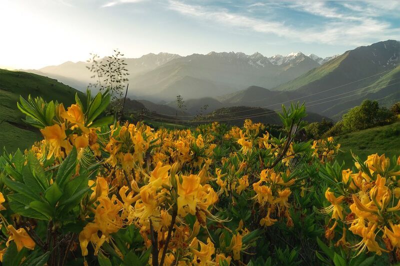 на рассвете фото превью