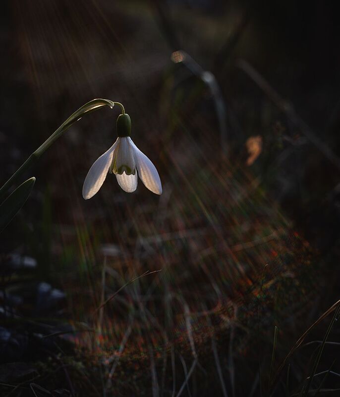 закат В лучах заката фото превью