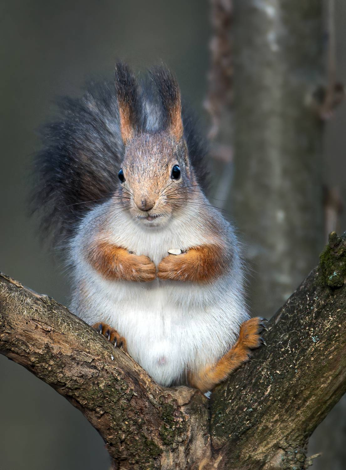 , Фото Александр