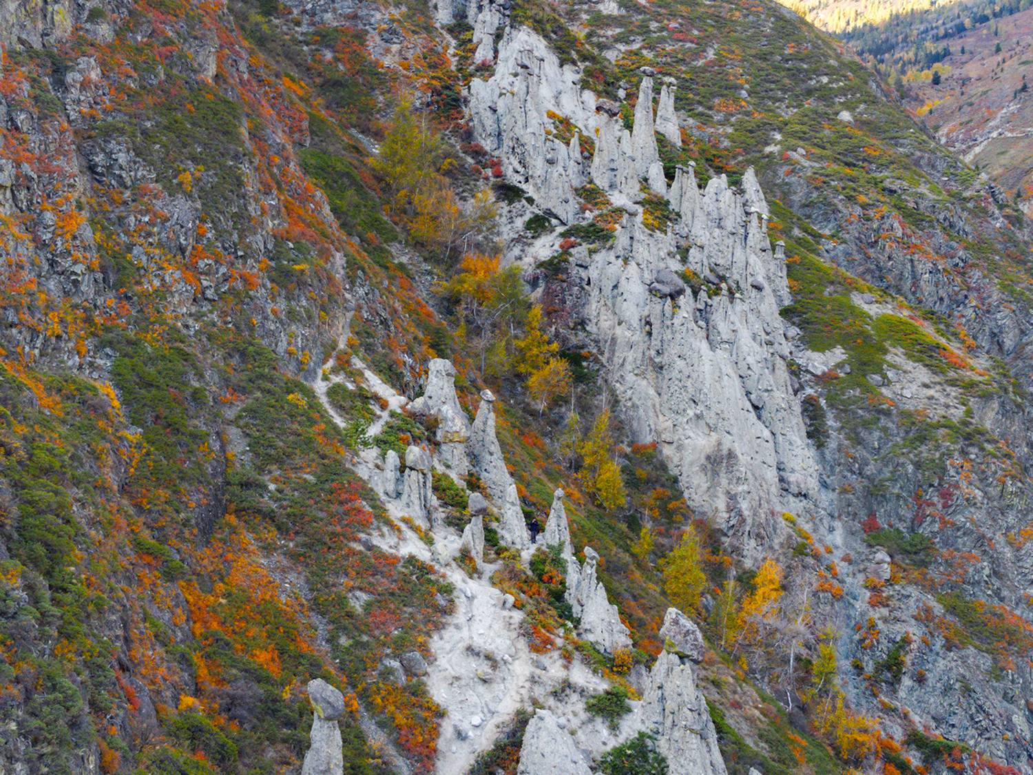 Россия, алтай, Челышман,каменные грибы, пейзаж, Лариса Дука