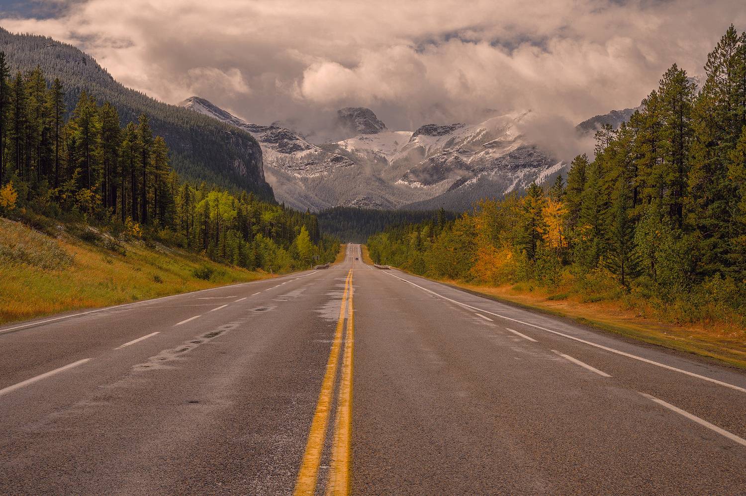 , Сергей Мухницкий