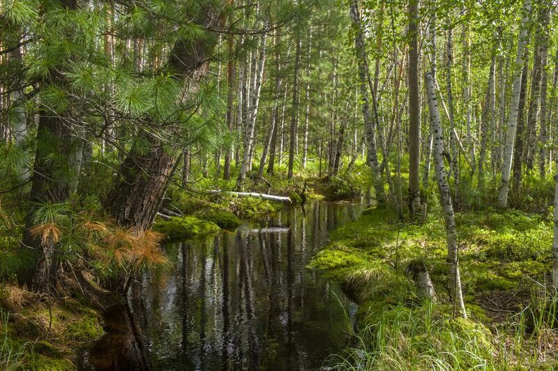 \\\\ фото превью