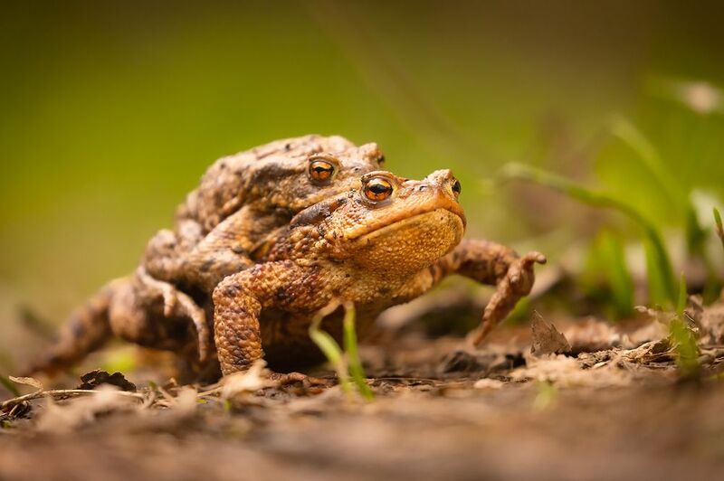 Love фото превью