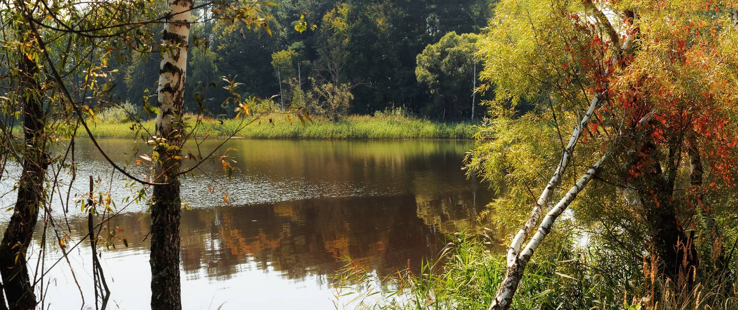 , Лысенко Сергей