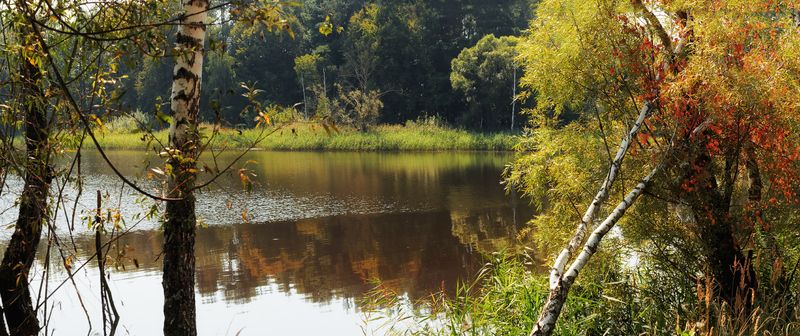 ... у пруда. фото превью