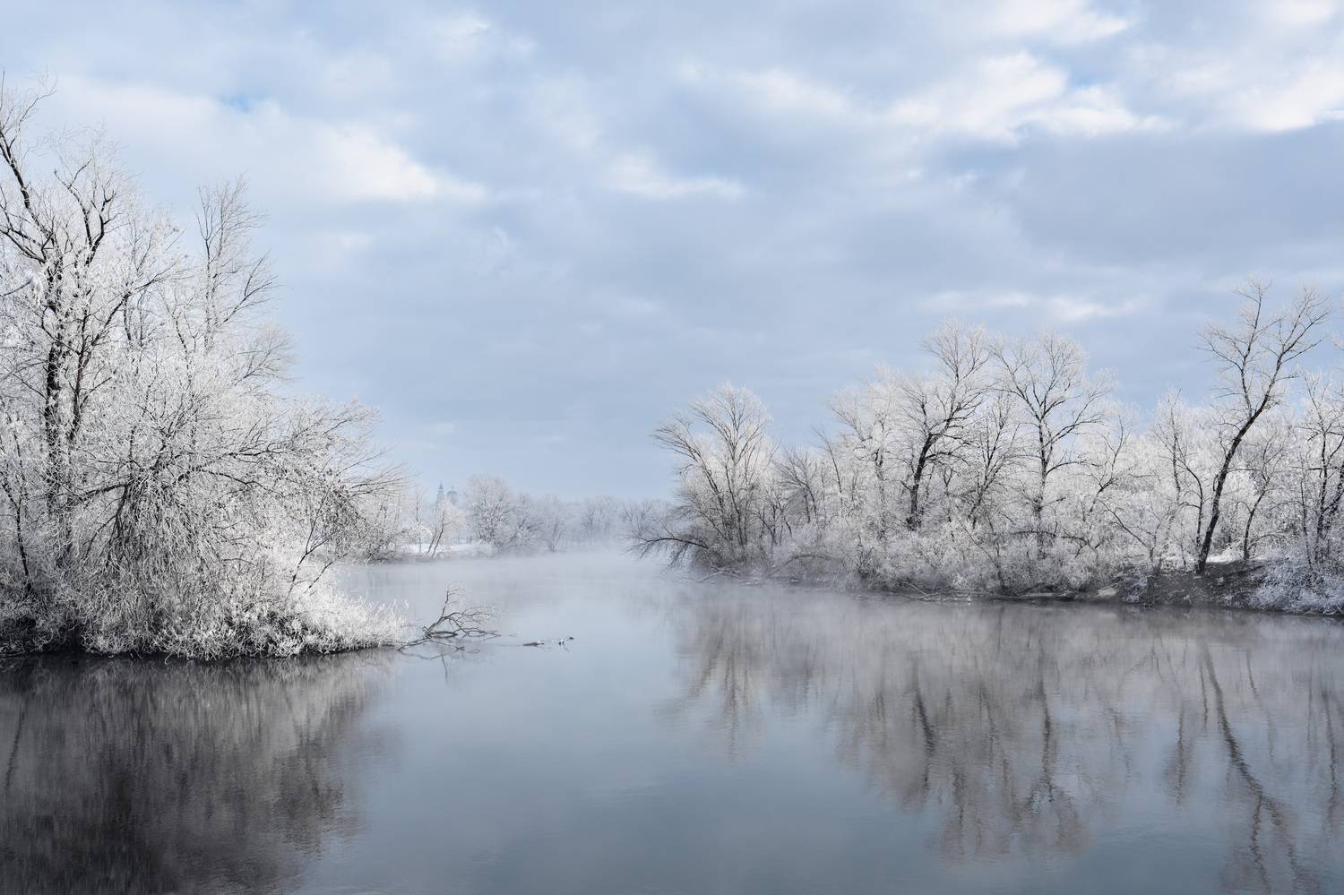ростовская область, зима, иней, река, снег, мороз, Шишкалов Константин
