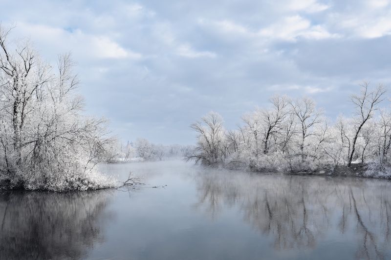 ростовская область, зима, иней, река, снег, мороз Иней фото превью