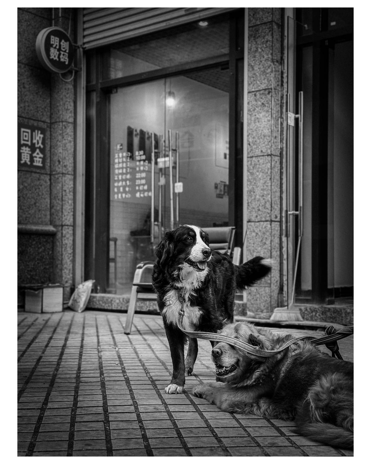 , Щеглова Марина