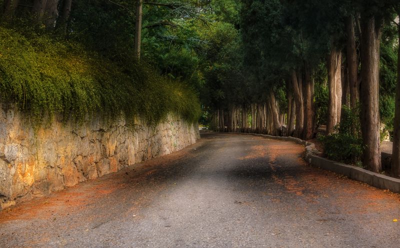 Крымские дороги. фото превью